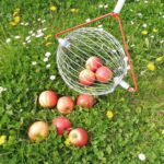 Roll Blitz appelraper met houten steel 2 (2)