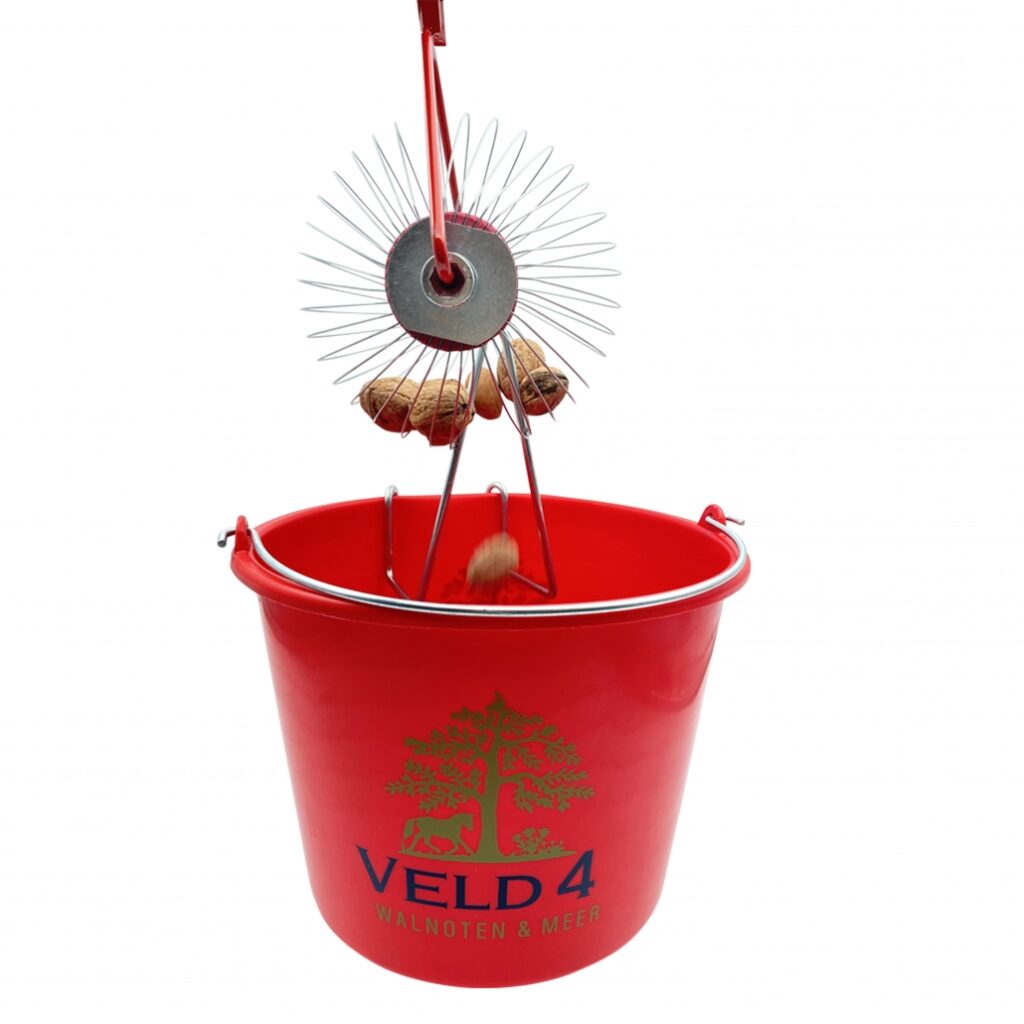 Veld4 Feucht Roll Blitz